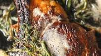 How to Cook a Ribeye Steak How to Cook a Ribeye Steak