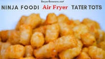 Ninja Foodi Air Fryer Tater Tots Ninja Foodi Air Fryer Tater Tots