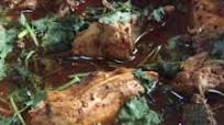 Punjabi Chicken Curry Punjabi Chicken Curry