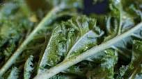 Grilled Kale Caesar Salad Grilled Kale Caesar Salad