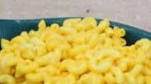 Ninja Foodi Copycat Mac & Cheese Ninja Foodi Copycat Mac & Cheese