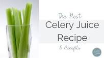 Best Celery Juice Recipe Best Celery Juice Recipe