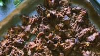 Carnitas | Healthy-ish & Happy Carnitas | Healthy-ish & Happy
