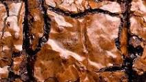 The Best Cocoa Fudge Brownies The Best Cocoa Fudge Brownies