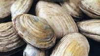 Clam Broth Clam Broth
