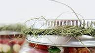 Picnic Style Caprese Salad Picnic Style Caprese Salad