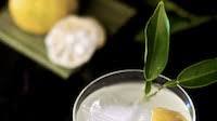 Yuzu Cocktail Yuzu Cocktail