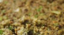 Southern Style Cornbread Dressing Southern Style Cornbread Dressing