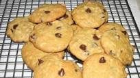 Chocolate Chip, Oatmeal, Walnut and Coconut Cookies Chocolate Chip, Oatmeal, Walnut and Coconut Cookies