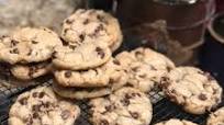 Bakery Soft Chocolate Chip Cookies Bakery Soft Chocolate Chip Cookies