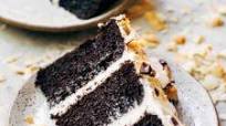 Gluten Free Toasted Coconut Chocolate Cake Gluten Free Toasted Coconut Chocolate Cake