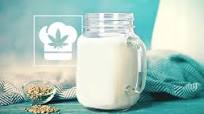 How To Make Cannabis Milk How To Make Cannabis Milk