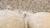 Pizza Dough Pizza Dough