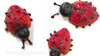 Strawberry Ladybugs Strawberry Ladybugs