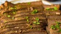 Slow Cooker Brisket Recipe Slow Cooker Brisket Recipe