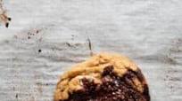 Sourdough Chocolate Chip Cookies Sourdough Chocolate Chip Cookies