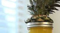 Pineapple Ginger Apple Mint Juice Recipe Pineapple Ginger Apple Mint Juice Recipe