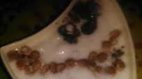 मीठा रायता (Meetha raita recipe in Hindi) मीठा रायता (Meetha raita recipe in Hindi)