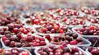 Cherry Wine Recipe – A Full Flavoured Red Cherry Wine Recipe – A Full Flavoured Red