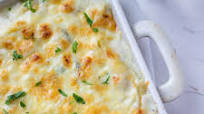 White Sauce Chicken Pasta White Sauce Chicken Pasta