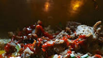 Pulled Pork Stir Fry Pulled Pork Stir Fry