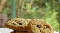 Mrs. Fields Cookie Recipe I Mrs. Fields Cookie Recipe I