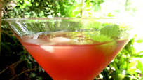 Purple Margarita Purple Margarita