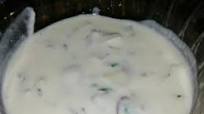 Raita Raita