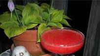Strawberry Margarita Strawberry Margarita