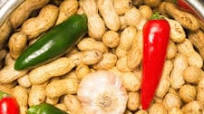 Instant Pot Boiled Peanuts Instant Pot Boiled Peanuts