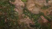 Recipe of Super Quick Homemade Palak gosht Recipe of Super Quick Homemade Palak gosht