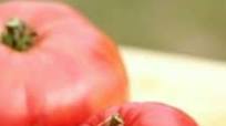 Fast Fresh Tomato Sauce Fast Fresh Tomato Sauce