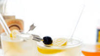 Tom Collins Cocktail Tom Collins Cocktail