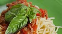 Spaghetti Sauce Spaghetti Sauce