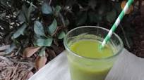 DOCTOR’S ORDER GREEN JUICE DOCTOR’S ORDER GREEN JUICE