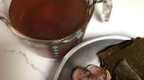 Shiitake Mushroom Stock Shiitake Mushroom Stock