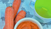 Ace Blender - Carrot Baby Food Ace Blender - Carrot Baby Food