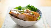 Sake Salmon Sake Salmon