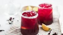 Hibiscus Margarita Hibiscus Margarita
