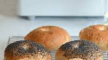Bread Machine Bagels Bread Machine Bagels