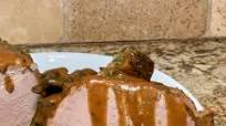Crock Pot Eye of Round with Mushroom & Onion Gravy Crock Pot Eye of Round with Mushroom & Onion Gravy