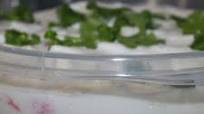 Onion Tomato Raita For Biryani, Pulao, Chapathi & Poori Onion Tomato Raita For Biryani, Pulao, Chapathi & Poori
