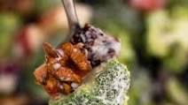 Sweet and Savory Broccoli Apple Salad Recipe Sweet and Savory Broccoli Apple Salad Recipe