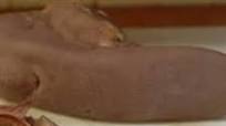 Boiled Tongue Boiled Tongue