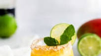 Blended Mango Margarita Blended Mango Margarita