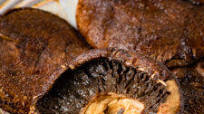Easy Vegan Portobello Mushroom Steaks (Gluten-Free) Easy Vegan Portobello Mushroom Steaks (Gluten-Free)
