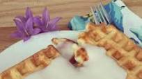 MENNONITE WAFFLES AND WHITE SAUCE MENNONITE WAFFLES AND WHITE SAUCE