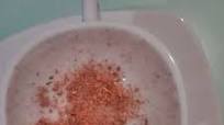 Caspiroleta Caspiroleta