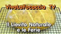 VivaLaFocaccia TV – Puntata 4 – Il Lievito Naturale e le Ferie VivaLaFocaccia TV – Puntata 4 – Il Lievito Naturale e le Ferie