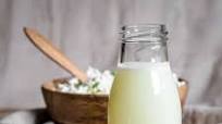 How To Make Natural Whey Protein Drink How To Make Natural Whey Protein Drink